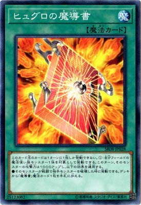 ヒュグロの魔導書 遊戯王 ヒュグロの魔導書 英語版 レリーフ AP